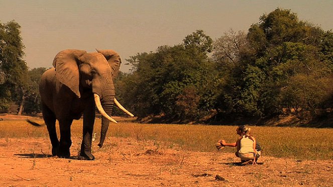 Karina: Wild on Safari - Filmfotos