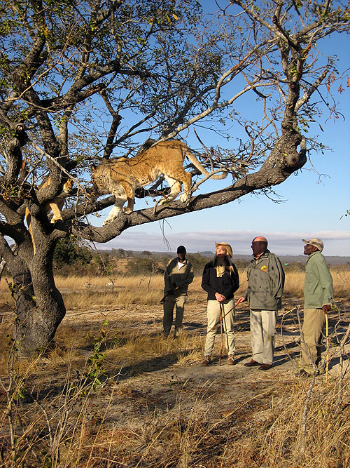 Karina: Wild on Safari - Kuvat elokuvasta