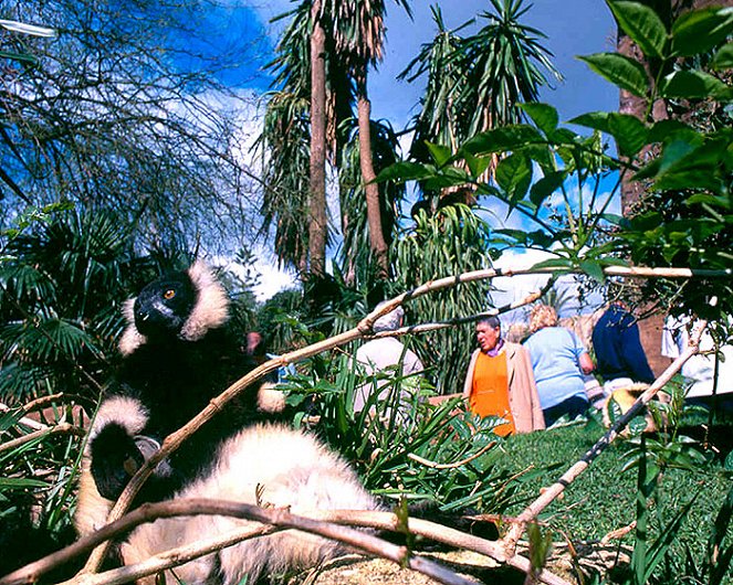 Jungle Seeds - Filmfotók
