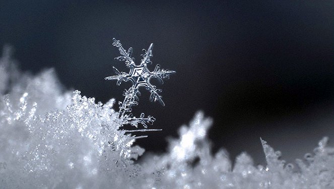 Let It Snow! - Filmfotos