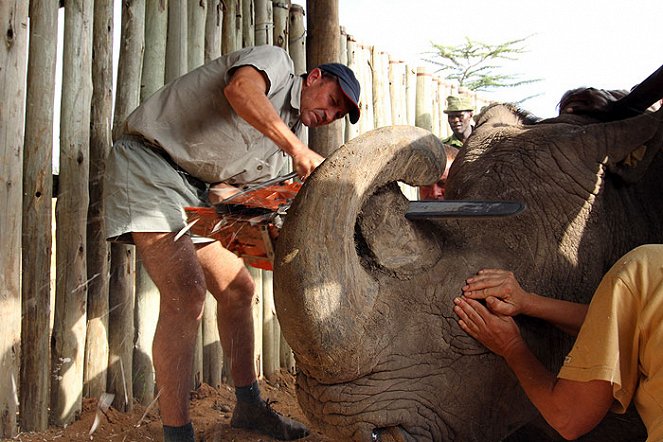 Wild Africa Rescue - Kuvat elokuvasta