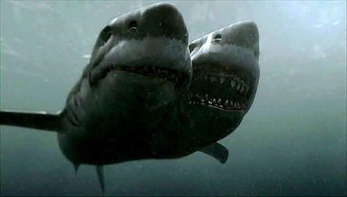 Útok dvojhlavého žraloka - Z filmu
