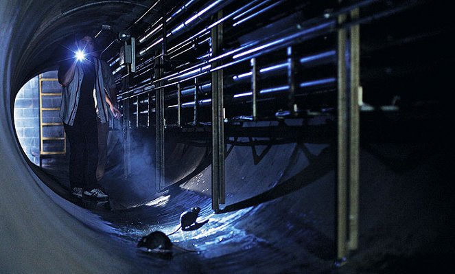 The Walking Dead - Gefangene der Toten - Filmfotos - Steven Yeun