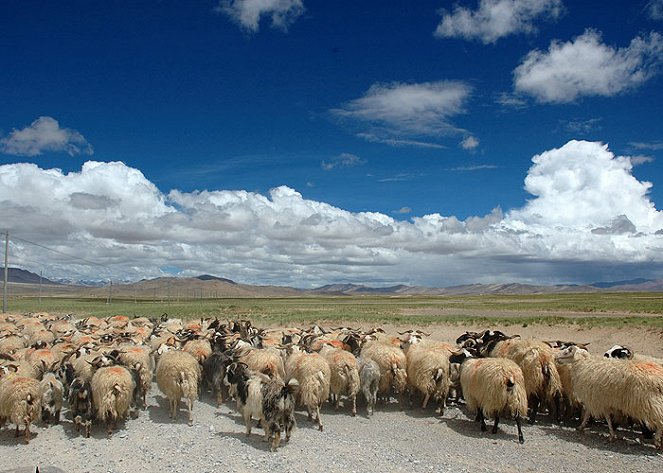 Guge – The Lost Kingdom of Tibet - Filmfotos