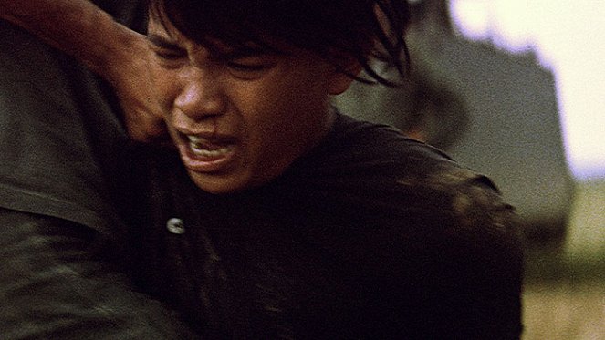 Indochine: A People's War in Colour - Film