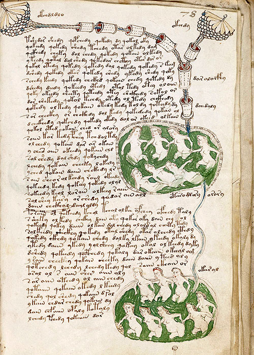 The Voynich Code: The World's Most Mysterious Manuscript - De la película
