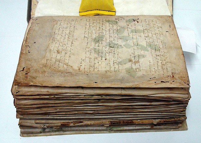 The Voynich Code: The World's Most Mysterious Manuscript - Photos