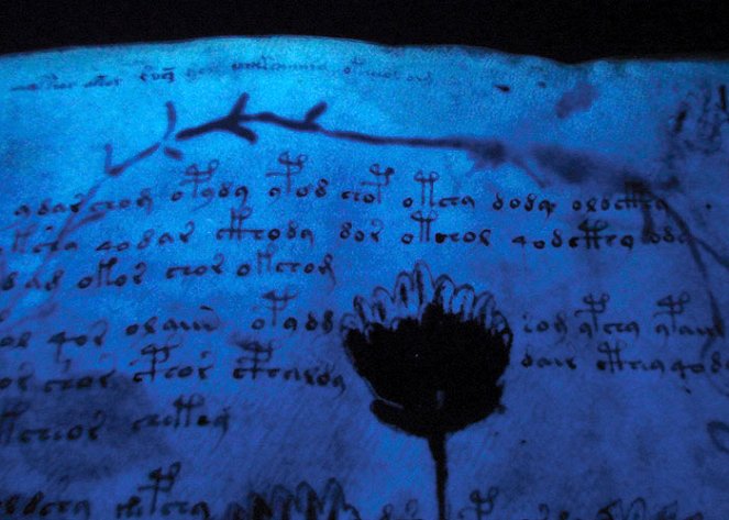 The Voynich Code: The World's Most Mysterious Manuscript - Film