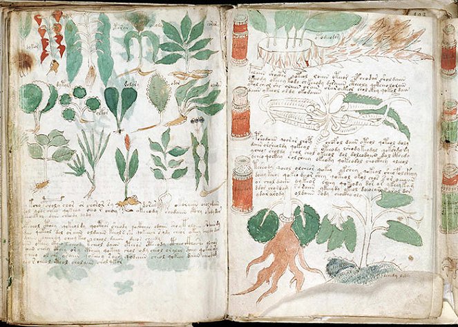 The Voynich Code: The World's Most Mysterious Manuscript - Z filmu
