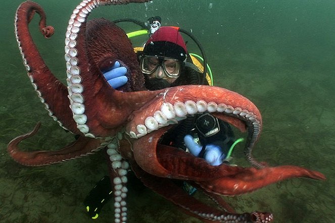 Aliens of the Deep Sea - Filmfotók