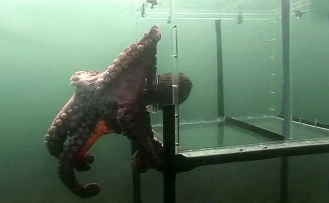 Aliens of the Deep Sea - De la película
