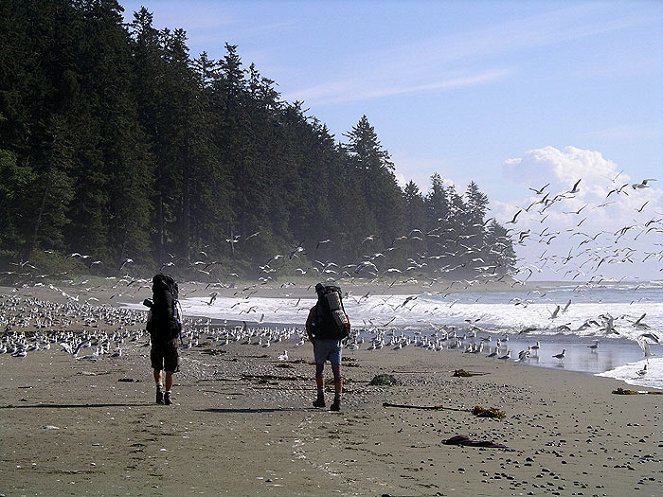 Survival of the Fittest: Stories from the West Coast Trail - Filmfotók
