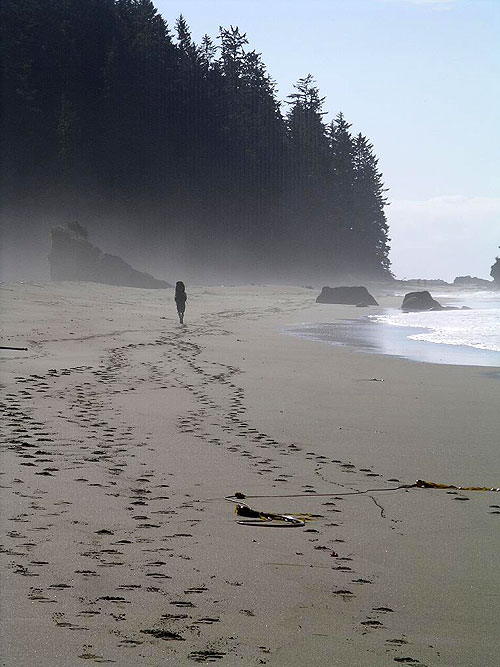 Survival of the Fittest: Stories from the West Coast Trail - Photos