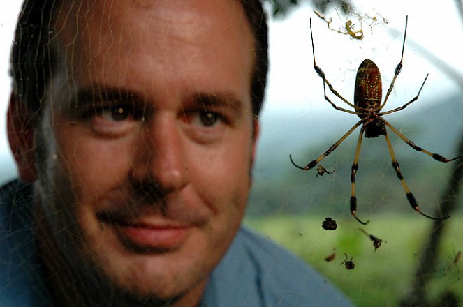 Opravdová dobrodružství nejlepšího lovce pavouků - Z filmu