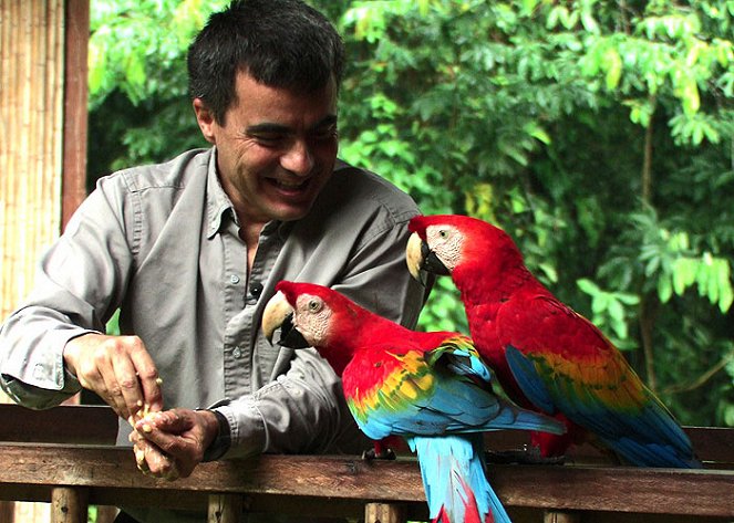 Parrot's Paradise - Filmfotók