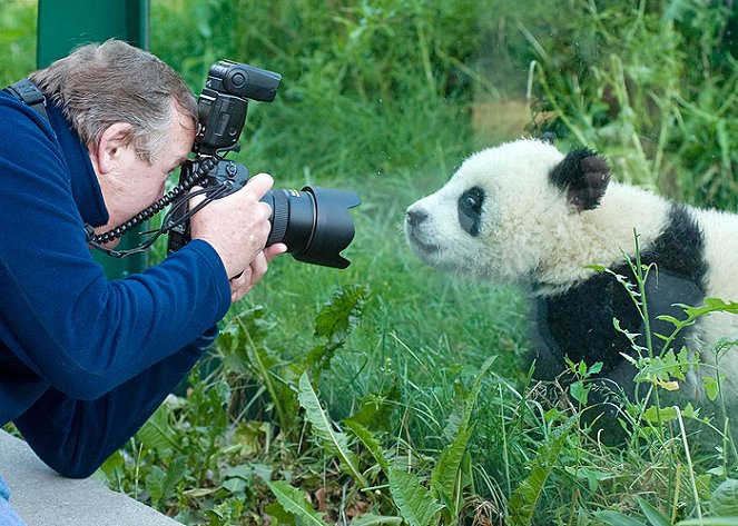 Universum: Fu long - malá veľká panda - Z filmu