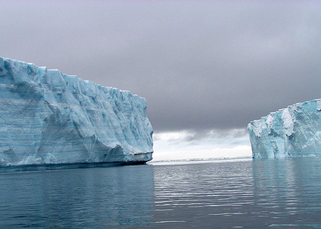 Cool School Antarctica - De la película