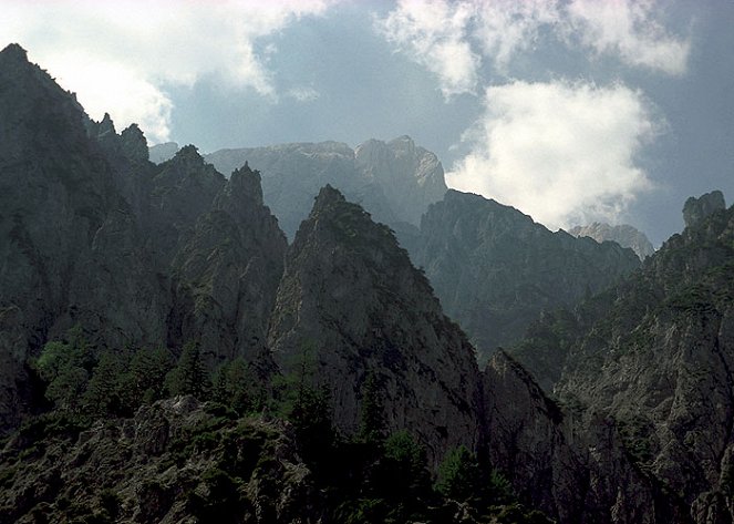 Roaring Mountains - Film