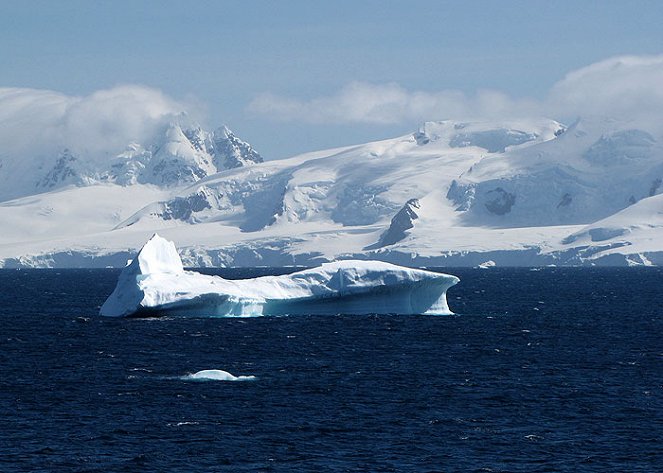 The Antarctica Challenge - De la película