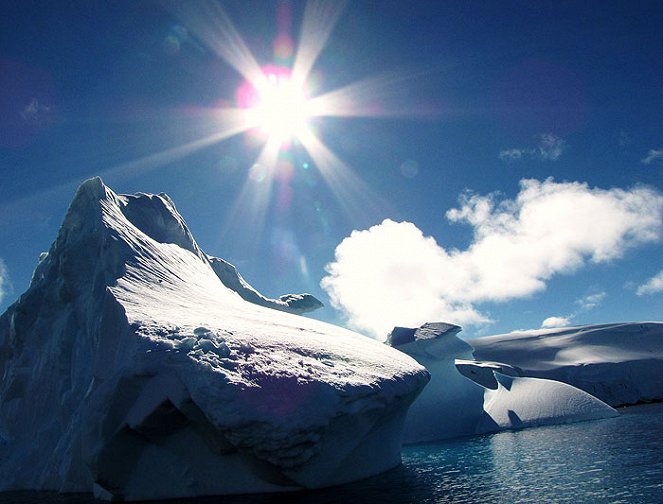 The Antarctica Challenge - De la película
