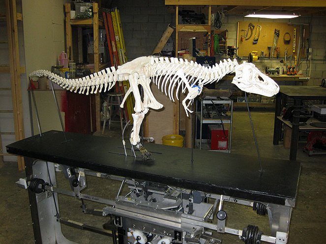 Rekonstrukce Tyranosaura Rexe - Z filmu