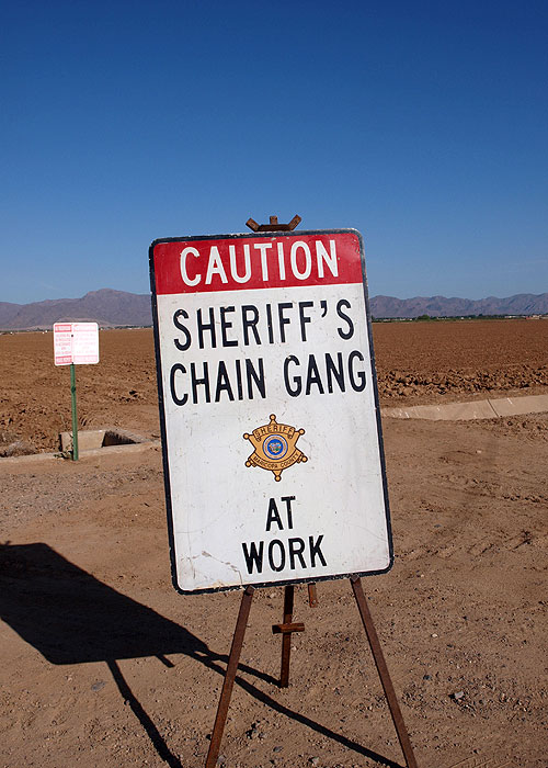 Chain Gang: Maricopa County - Do filme