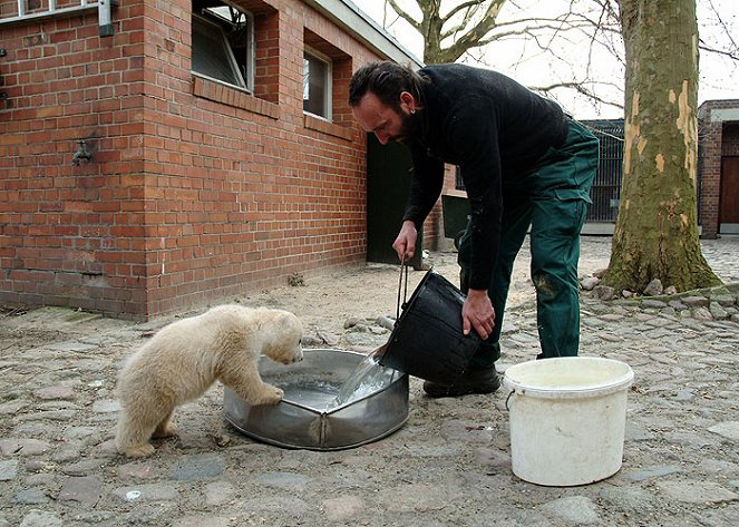 Knut and Friends - Photos