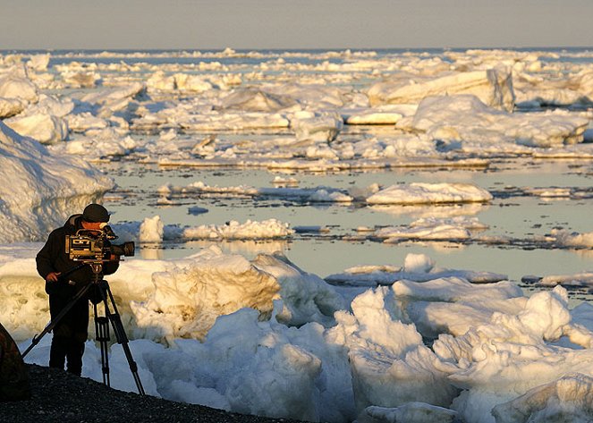 Among the Polar Bears - Adventure in Russia's Arctic - De filmes