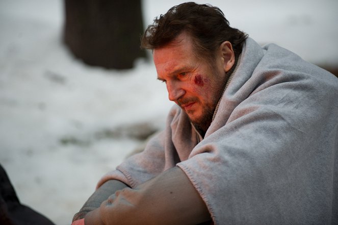 The Grey - Van film - Liam Neeson