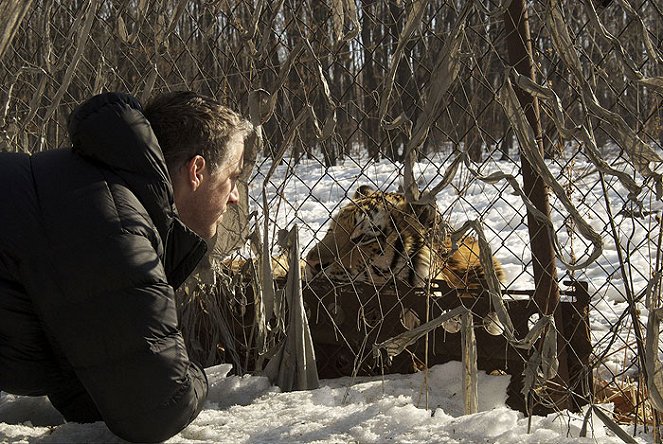 Amba, az orosz tigris - Filmfotók