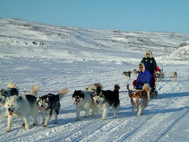 Serious Arctic - Photos