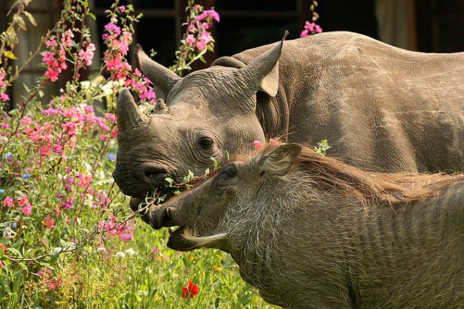 Máme doma nosorožce - Z filmu