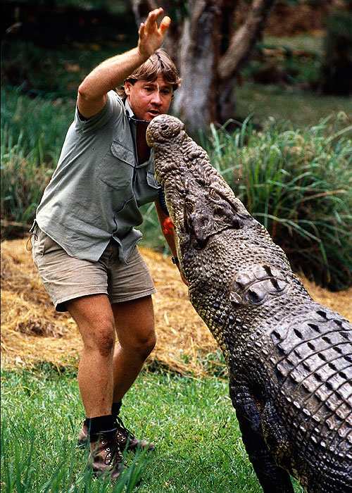 Zápisník lovce krokodýlů - Z filmu - Steve Irwin