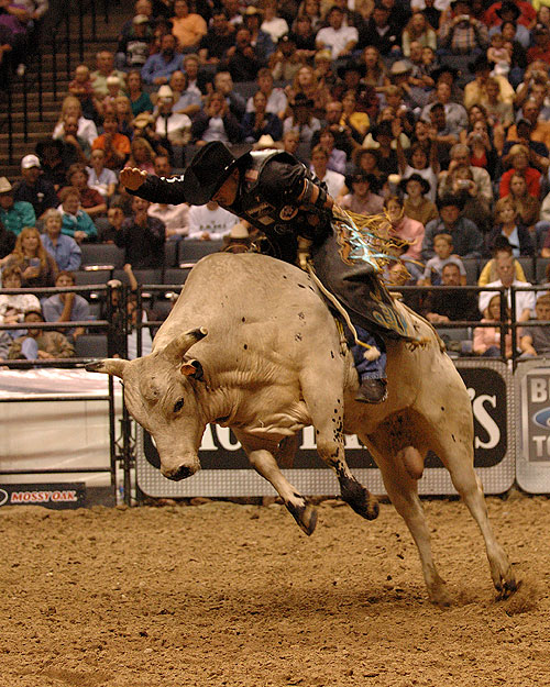 Bullrider - Do filme