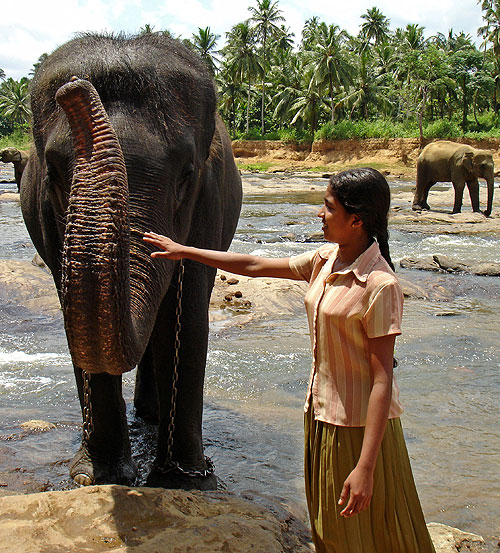 The Girl and the Elephants - Photos