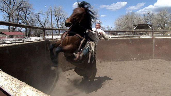 The Wild Horse Redemption - Van film