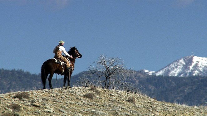 The Wild Horse Redemption - De la película