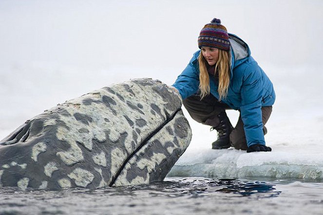 Na ratunek wielorybom - Z filmu - Drew Barrymore