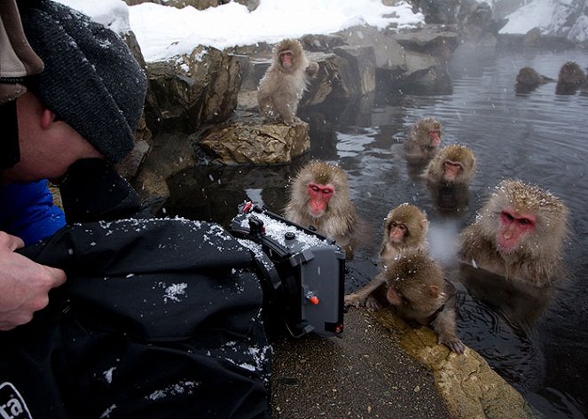 The Natural World - Season 27 - Snow Monkeys - De la película
