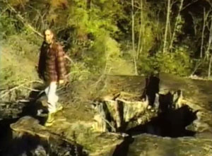 Redwood Summer: Where the 90s Begin - Van film