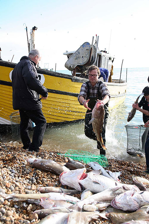 Hughova kampaň za ryby - Z filmu - Hugh Fearnley-Whittingstall