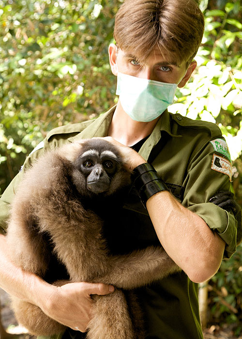 The Natural World - Radio Gibbon - Film