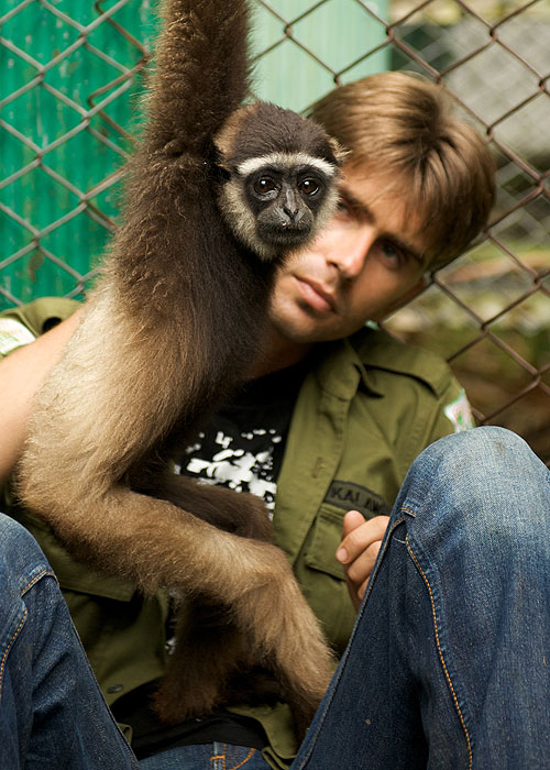 The Natural World - Radio Gibbon - Kuvat elokuvasta