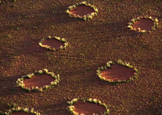 Mystery of the Fairy Circles - Filmfotos