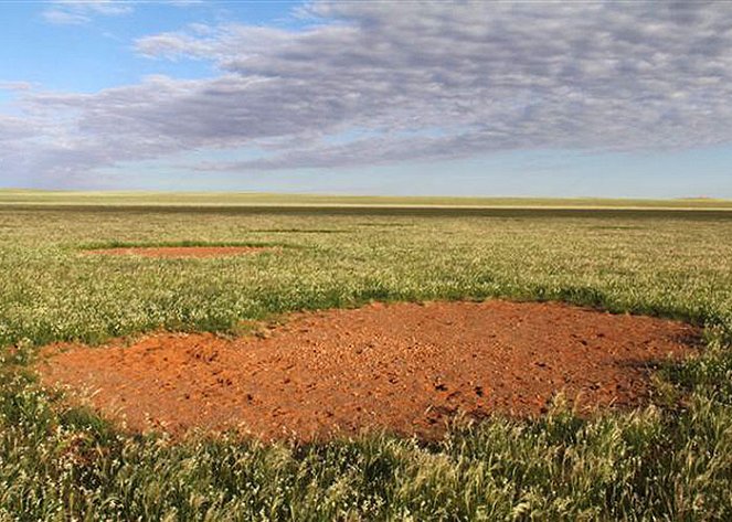 Mystery of the Fairy Circles - Photos