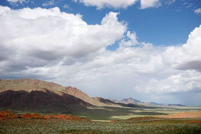 Mystery of the Fairy Circles - De la película