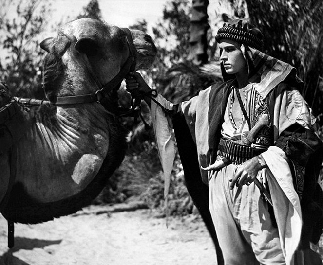 The Sheik - Van film - Rudolph Valentino