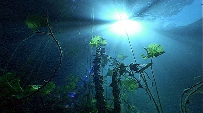 Die vier Jahreszeiten unter Wasser - Film