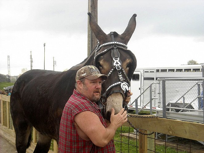 Only in America with Larry the Cable Guy - Photos