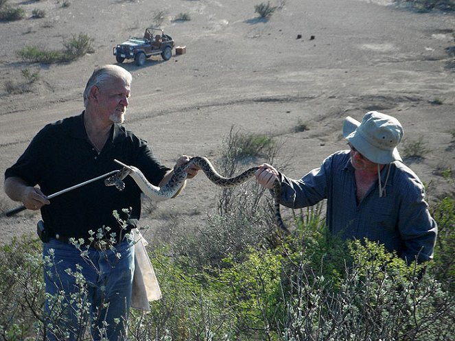 Rattlesnake Republic - Photos